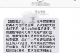 元宝为什么选择专业追讨公司来处理您的债务纠纷？